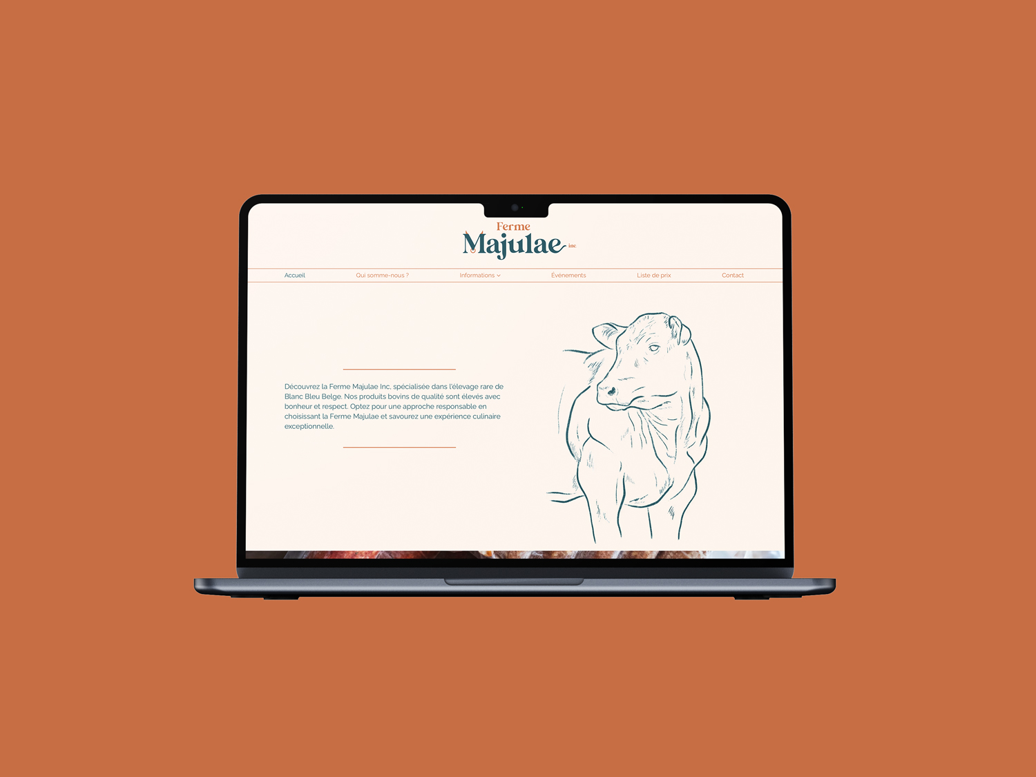 Mockup du site internet Le Snurfer
